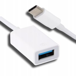 USB-C to USB-A adapter cable for smartphone, laptop