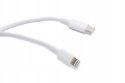 IPhone iPad USB-C Lightning charging cable 1m data transfer white