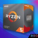 BSG Striker V9 AMD Ryzen 5 Radeon RX 6600 16GB DDR4 1000GB SSD Windows 11 Pro