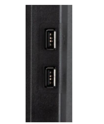 Monitor 25 cali XUB2595WSU-B5 IPS.PIVOT.16:10.USB.DP.HDMI.VGA.2x2W. 300(cd/m2).HAS(150mm)