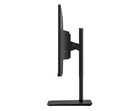 Monitor PRO MP251P 24.5 cala/LED/FHD/Flat/100Hz/Czarny