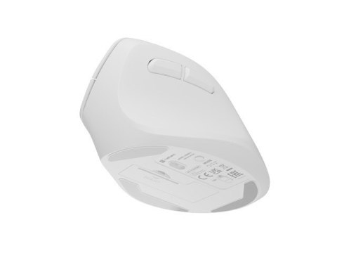 Mysz bezprzewodowa wertykalna Crake 2 BT 5.2 + 2.4GHz biała