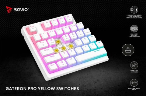 Klawiatura mechaniczna bezprzewodowa SAVIO PHENIX WHITE Gateron Yellow, Pudding
