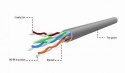Gembird Kabel UTP drut kat. 5e (CCA) 305m szary