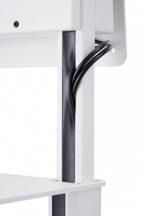 Edbak TRF100 Wózek wideokonferencyjny głowicą obrotową do monitorów (Flip55) 55-65 cali VESA 200x200 - 400x400 40kg