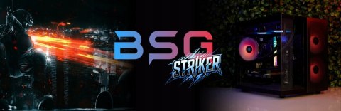 BSG Striker V8 AMD Ryzen 5 AMD Radeon RX 6600 32GB DDR4 2000GB SSD Windows 11 Pro