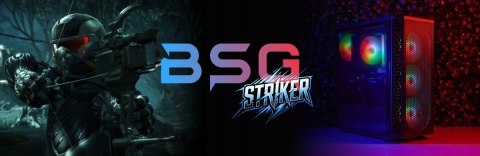 BSG Striker V9 AMD Ryzen 5 AMD Radeon RX 6600 64GB DDR4 1000GB SSD Windows 11 Pro