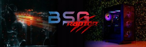 BSG Raptor V21 Intel Core i5 NVIDIA RTX 5060 16GB DDR5 256GB SSD Windows 11 Pro