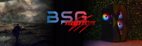 BSG Raptor V24 AMD Ryzen 5 NVIDIA RTX 5060 16GB DDR4 1000GB SSD Windows 11 Pro