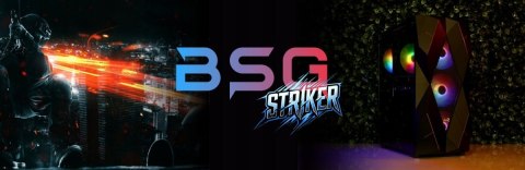 BSG Striker V17 AMD Ryzen 5 NVIDIA GeForce RTX 3050 16GB DDR5 2000GB SSD Windows 11 Pro