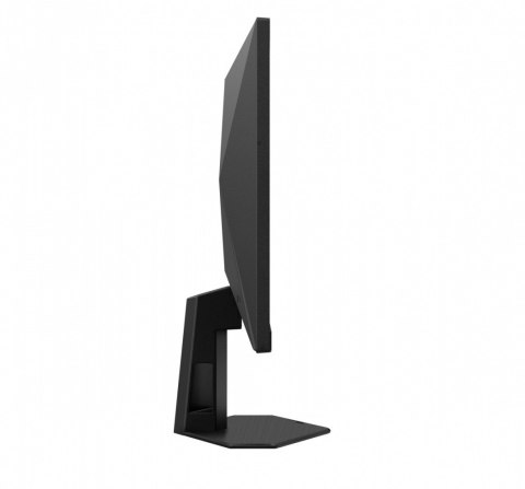 AOC Monitor 25G4SRE 24.5 cala Fast IPS 300Hz HDMIx2 DP