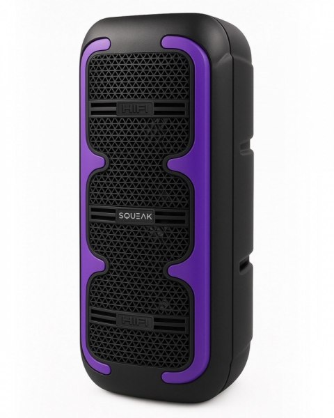 SQUEAK Głośnik bluetooth 5.3 Karaoke BeatOne USB-C SQ1009