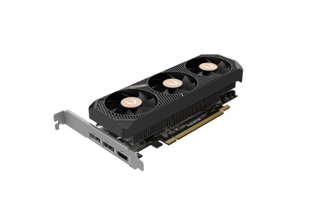 ZOTAC Karta graficzna GeForce RTX 5050 LP 8GB GDDR6 128bit 2DP/HDMI