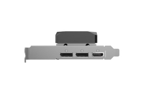 ZOTAC Karta graficzna GeForce RTX 5060 LP 8GB GDDR7 128bit 2DP/HDMI