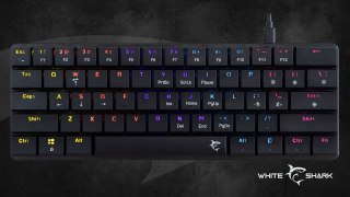Zestaw Gamingowy RGB Na Prezent Klawiatura + Myszka White Shark Dla Gracza
