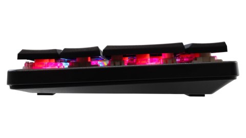 Zestaw Gamingowy RGB Na Prezent Klawiatura + Myszka White Shark Dla Gracza