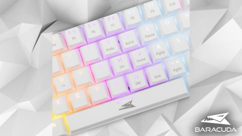 Zestaw Gamingowy White Baracuda Klawiatura + Myszka Na Prezent Dla Gracza