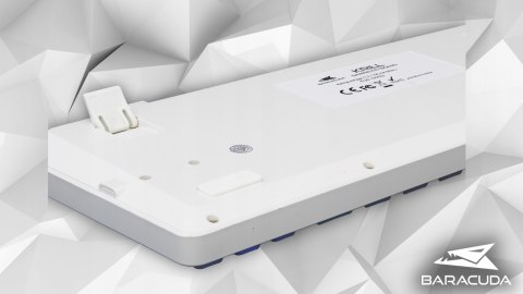 Klawiatura Gamingowa Baracuda BGK-01114 Krill Biała USB TKL RGB US