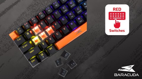 Klawiatura Gamingowa Baracuda BGK-03111 Dolphin Czarna Red Switch RGB USB