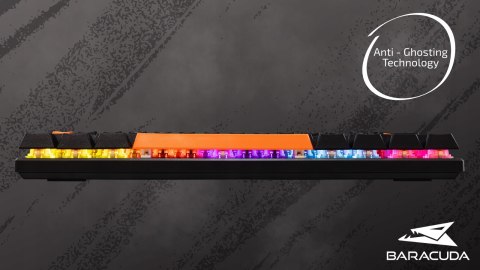 Klawiatura Gamingowa Baracuda BGK-03111 Dolphin Czarna Red Switch RGB USB