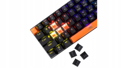 Klawiatura Gamingowa Baracuda BGK-03111 Dolphin Czarna Red Switch RGB USB