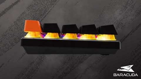 Klawiatura Gamingowa Baracuda BGK-03121 Dolphin Czarna Blue Switch RGB USB