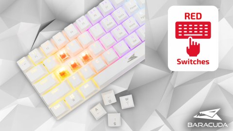 Klawiatura Gamingowa Baracuda BGK-03211 Dolphin Biała Red Switch RGB USB