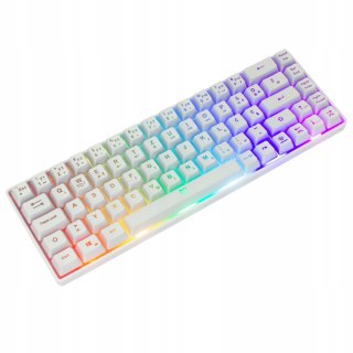 Klawiatura Gamingowa White Shark Ronin White Membranowa LED 68 klawiszy
