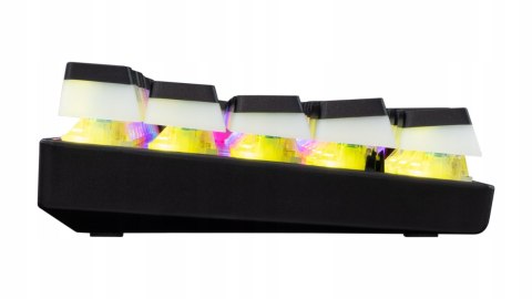 Klawiatura gamingowa White Shark Ashiko 2 Black USB Red Switch RGB US