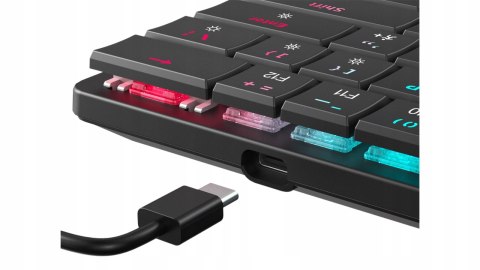 Klawiatura gamingowa White Shark Nagamaki USB Red Switch RGB US Mechaniczna