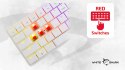Klawiatura gamingowa White Shark Nagamaki USB Red Switch RGB US Mechaniczna