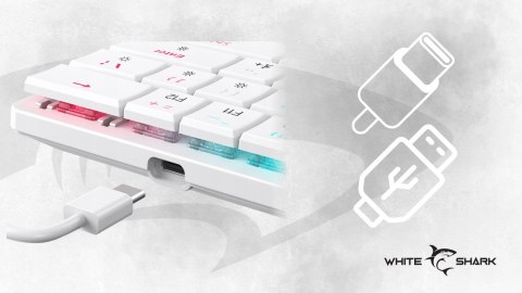 Klawiatura gamingowa White Shark Nagamaki USB Red Switch RGB US Mechaniczna