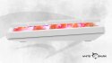 Klawiatura gamingowa White Shark Nagamaki USB Red Switch RGB US Mechaniczna