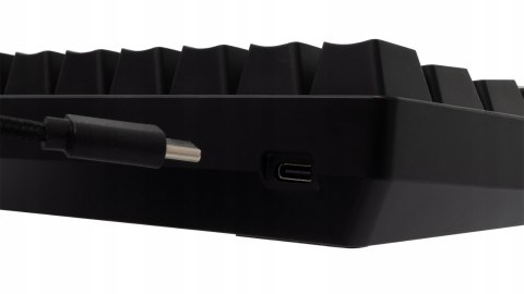 Klawiatura gamingowa White Shark Shinobi 2 Black USB Red Switch RGB US