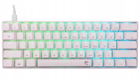 Klawiatura gamingowa White Shark Shinobi 2 White USB Blue Switch RGB US