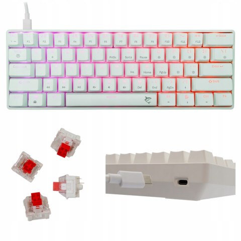 Klawiatura gamingowa White Shark Shinobi 2 White USB Red Switch RGB US