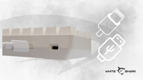 Klawiatura gamingowa White Shark Shinobi 2 White USB Red Switch RGB US