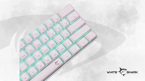Klawiatura gamingowa White Shark Shinobi 2 White USB Red Switch RGB US
