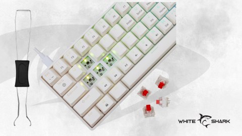 Klawiatura gamingowa White Shark Shinobi 2 White USB Red Switch RGB US