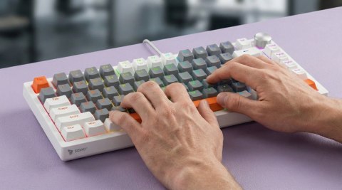 Savio Klawiatura magnetyczna ASTRAL White OUTEMU White jade RGB 3 kolory keycapów