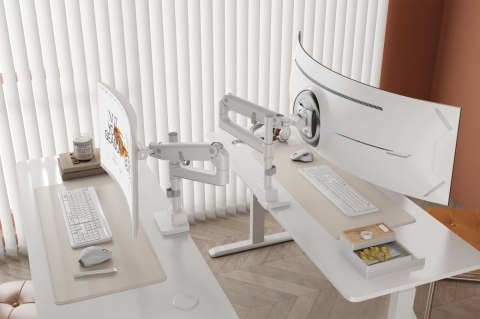 Digitus Ramię biurkowe pojedyncze z zaciskiem i sprężyną gazową 1x LCD max. 57" 27kg, VESA: 75x75, 100x100, białe