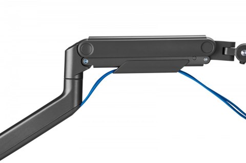 Digitus Ramię biurkowe pojedyncze z zaciskiem i sprężyną mechaniczną 1x LCD max. 49" 20kg, VESA: 75x75, 100x100, czarne