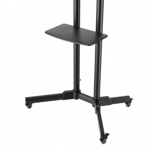 TB Stand wózek TV TB-ST1 do telewizora do 75 cali 45kg max VESA 600x400