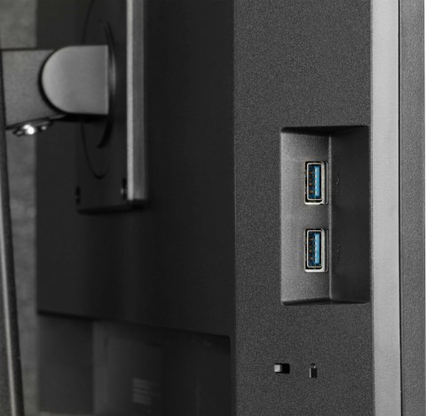 IIYAMA Monitor 24 cale XUB2490HSUH-B2 + Norton Small Business card 250G PL