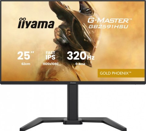 IIYAMA Monitor 25 cali GB2591HSU-B1 0.4ms, DP, 2xHDMI 2.1, 320Hz, Fast IPS, USB HUB x4