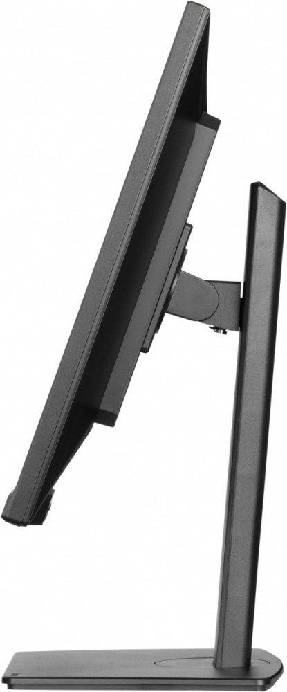 IIYAMA Monitor 32 cali XUB3297QSNP-B1 + Norton Small Business card 250G PL