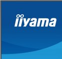 IIYAMA Monitor 27 cali XB2797QSU-W1 IPS, QHD, 2xHDMI, DP, 350cd, 75Hz, 1000:1, USB HUB x4
