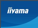 IIYAMA Monitor 27 cali X2793QSU-B1 IPS, QHD, HDMI, DP, 2xUSB