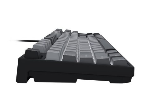 Natec Klawiatura Fury Kanabo K2 US czarno-szara, podświetlenie