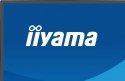 IIYAMA Monitor 27 cali XB2797QSNP-B1 IPS,QHD,USB-c Dock 96W,HDMI, 350cd,1ms, DP, DisplayPort x1 (Daisy Chain MST max. 2560 x1440), USB